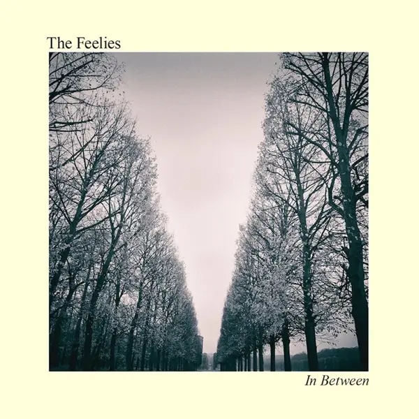Album artwork for In Between by The Feelies