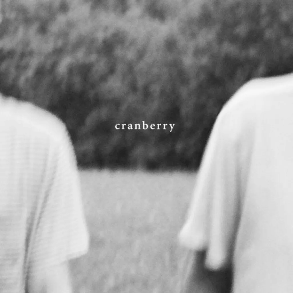 Album artwork for Cranberry by Hovvdy