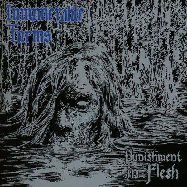 Album artwork for Punishment In Flesh by Innumerable Forms