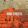 Album Artwork für Bird Streets von Bird Streets