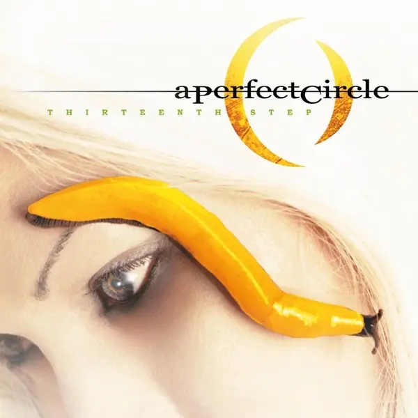 Album artwork for Thirteenth Step by A Perfect Circle