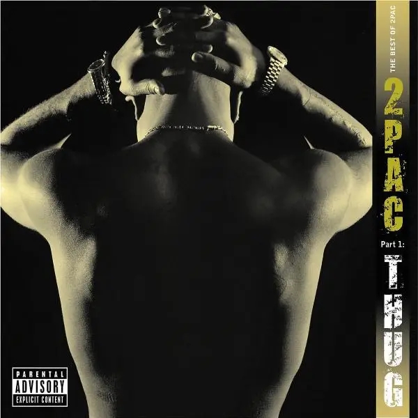 Album artwork for Best Of 2pac-Pt.1: Thug by 2Pac