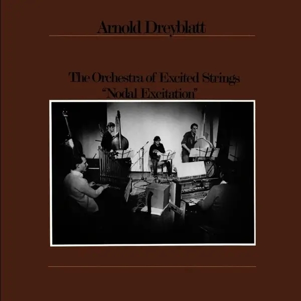 Album artwork for Nodal Excitation by Arnold Dreyblatt