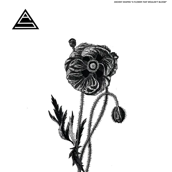 Album artwork for Flower That Wouldn't Bloom by Ancient Shapes