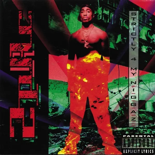 Album artwork for Strictly 4 My N.I.G.G.A.Z... by 2Pac