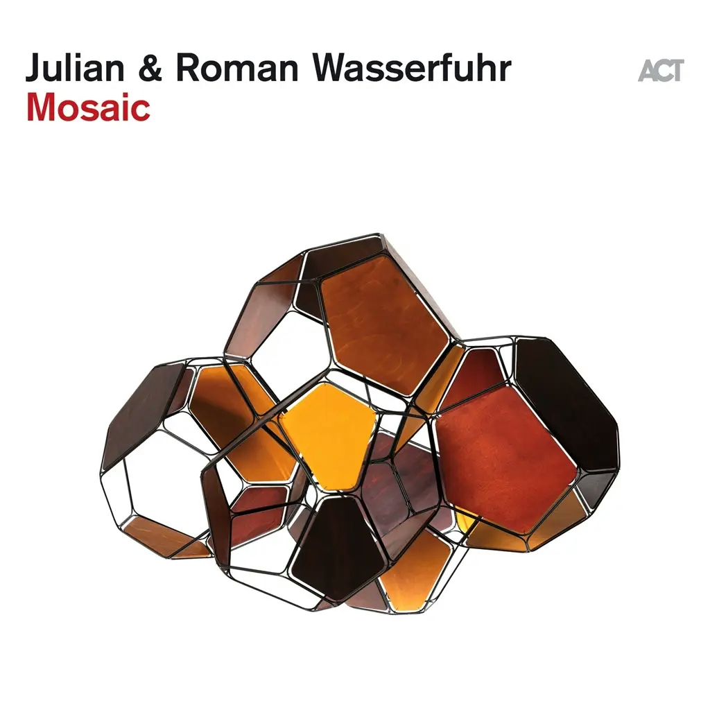 Album artwork for Mosaic by Julian and Roman Wasserfuhr