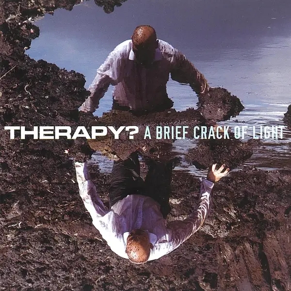 Album artwork for A Brief Crack Of Light by Therapy?