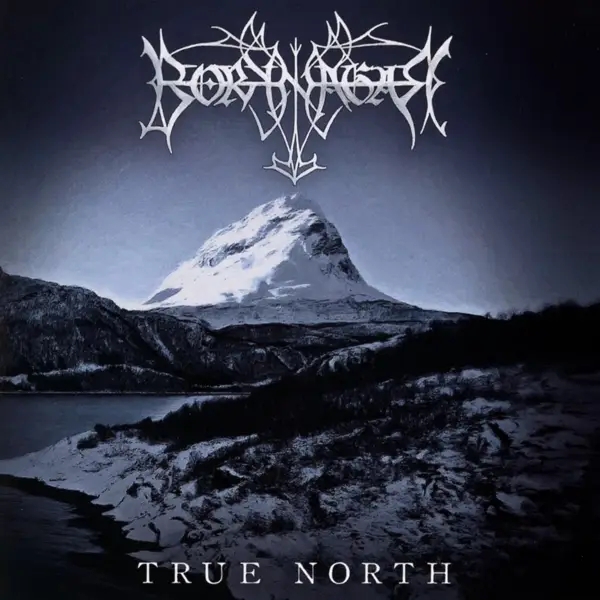 Album artwork for True North by Borknagar
