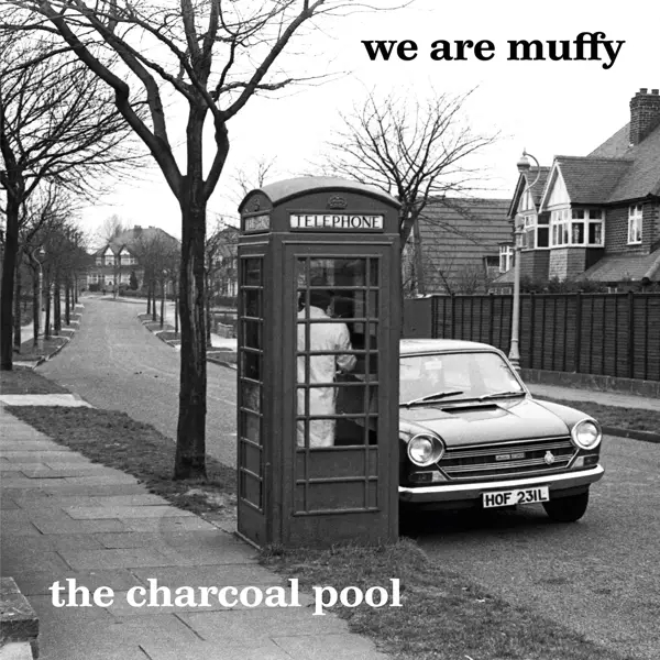 Album artwork for The Charcoal Pool by We Are Muffy