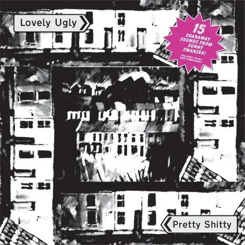 Album artwork for Lovely Ugly by Various