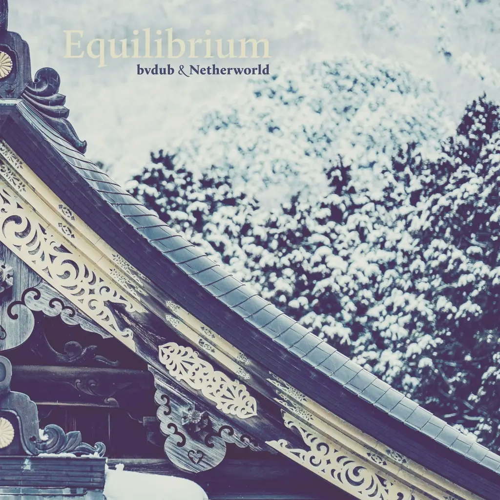 Album artwork for Equilibrium by Bvdub, Netherworld