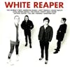 Illustration de lalbum pour The World's Best American Band par White Reaper