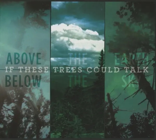 Album artwork for Above The Earth,Below The Sky by If These Trees Could Talk