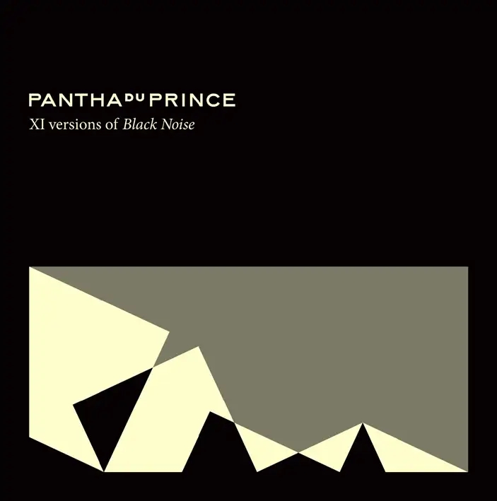 Album artwork for V Versions of Black Noise by Pantha Du Prince