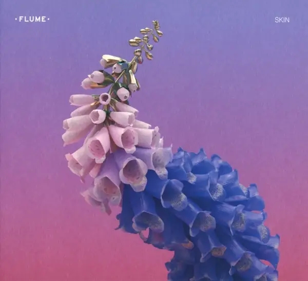 Album artwork for Skin by Flume