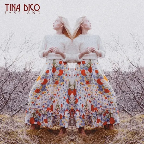 Album artwork for Fastland by Tina Dico