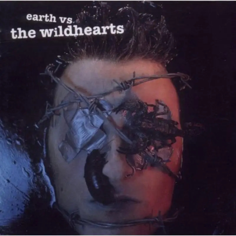 Album artwork for Earth vs The Wildhearts by The Wildhearts