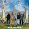Album Artwork für Magpie Heights von Blue Orchids