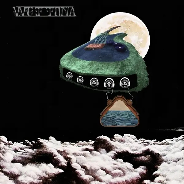 Album artwork for Water Weird by Wet Tuna