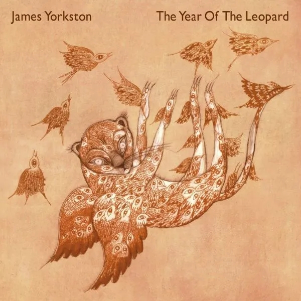 Album artwork for The Year Of The Leopard by James Yorkston