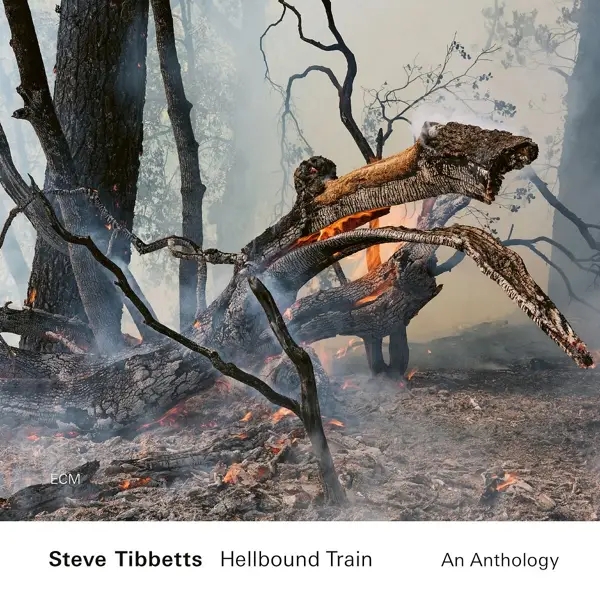 Album artwork for Hellbound Train by Steve Tibbetts