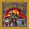 Album artwork for The Grateful Dead by Grateful Dead