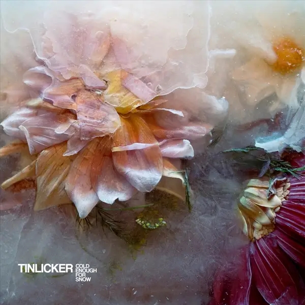 Album artwork for Cold Enough For Snow by Tinlicker
