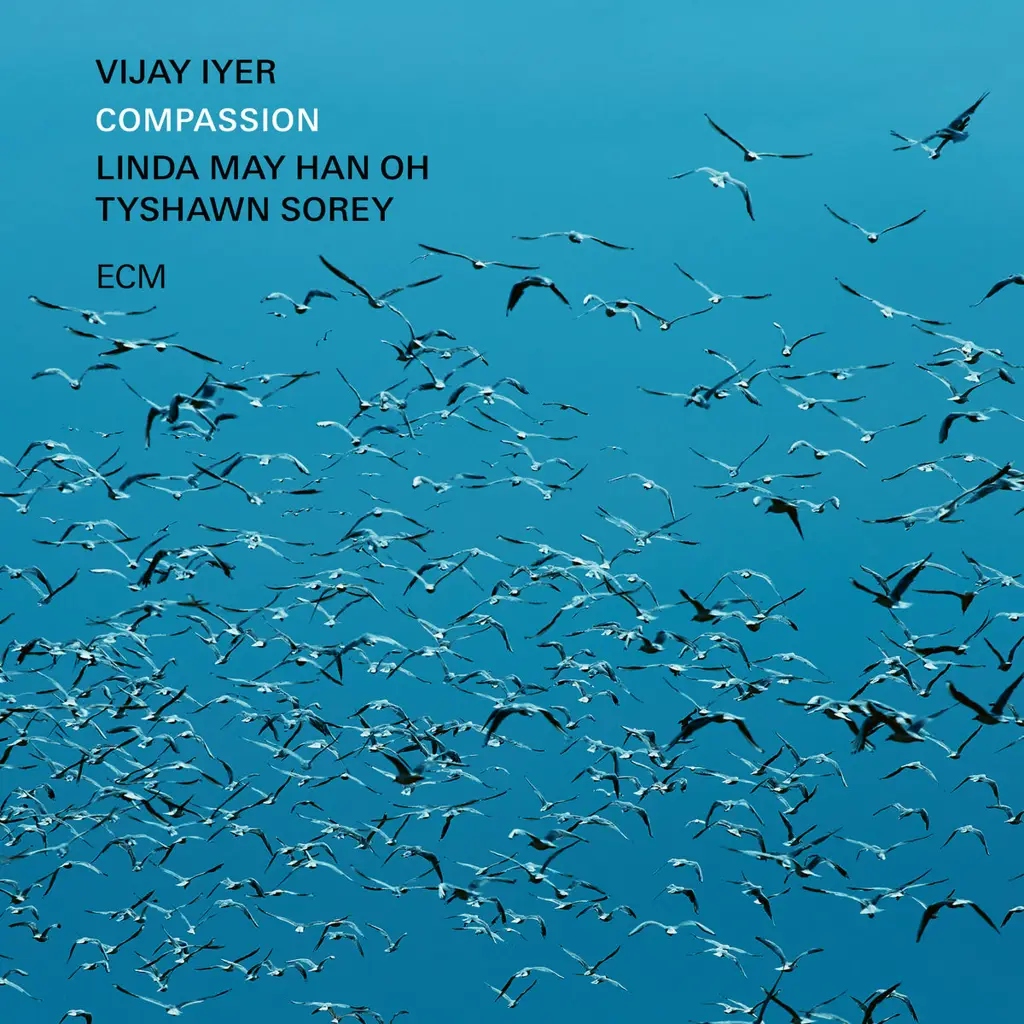 Album artwork for Compassion by Vijay Iyer