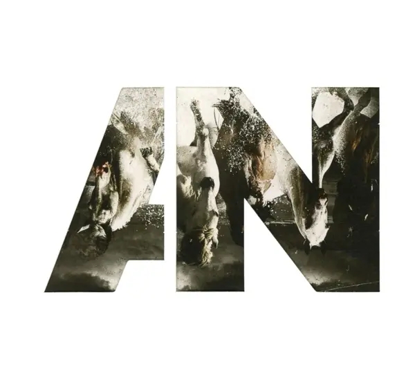 Album artwork for Run by Awolnation