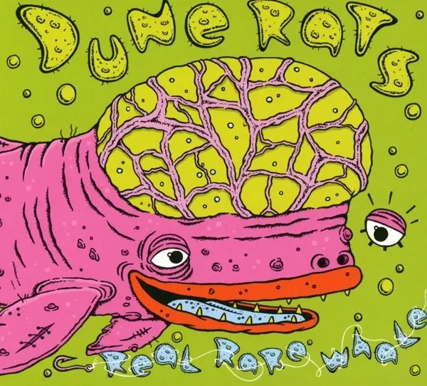 Album artwork for Real Rare Whale by Dune Rats