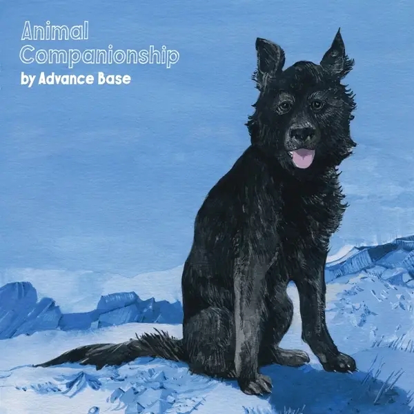 Album artwork for ANIMAL COMPANIONSHIP by Advance Base