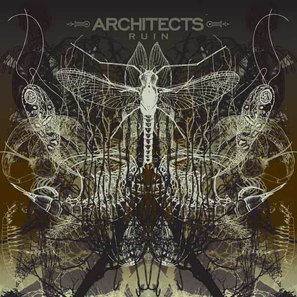 Album artwork for Ruin by Architects