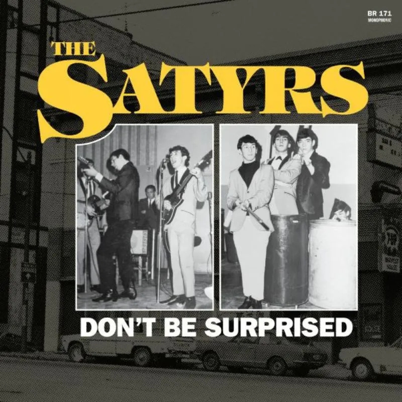 Album artwork for Don't Be Surprised by The Satyrs