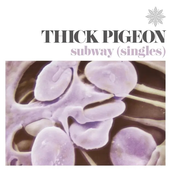 Album artwork for Subway by Thick Pigeon