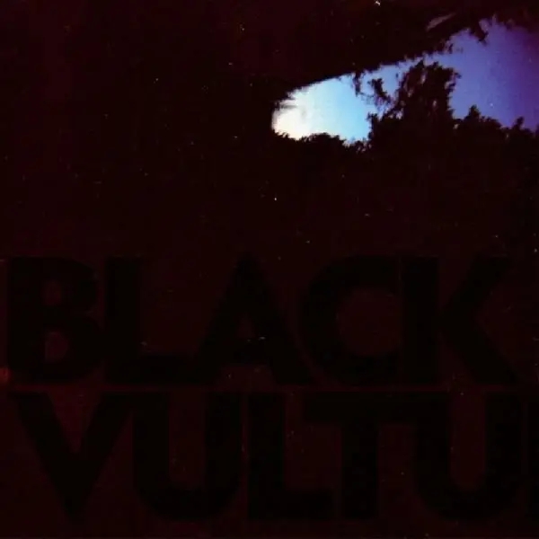 Album artwork for Black Vultures by Daniel Norgren