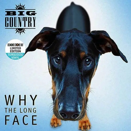 Album artwork for Why The Long Face - RSD 2024 by Big Country
