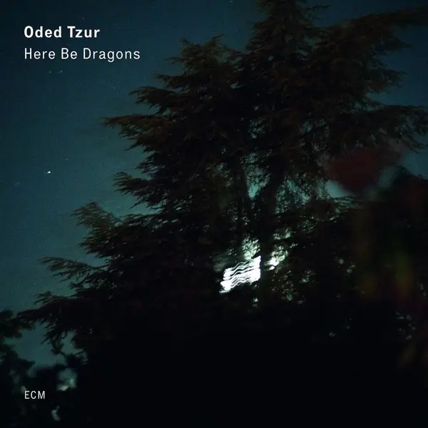 Album artwork for Here Be Dragons by Oded Tzur