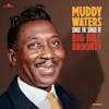 Album artwork for Sings The Songs Of Big Bill Bronzy by Muddy Waters
