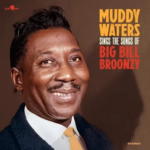 Album artwork for Sings The Songs Of Big Bill Bronzy by Muddy Waters