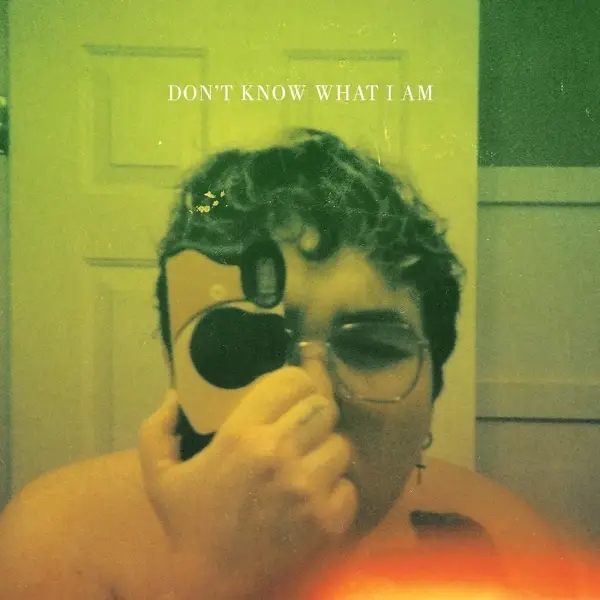Album artwork for Don't Know What I Am by Alien Boy