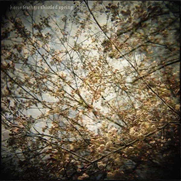 Album artwork for Thistled Spring by Horse Feathers