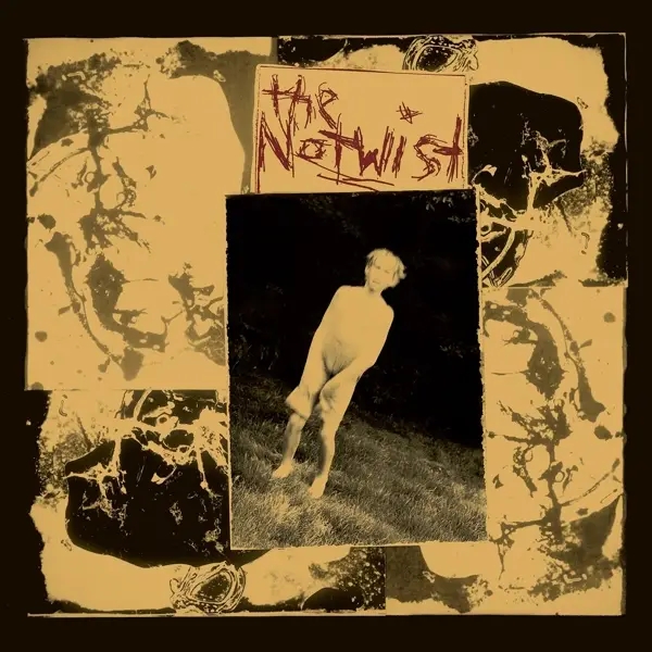 Album artwork for THE NOTWIST by The Notwist