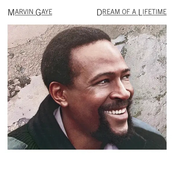 Album artwork for Dream Of A Lifetime by Marvin Gaye