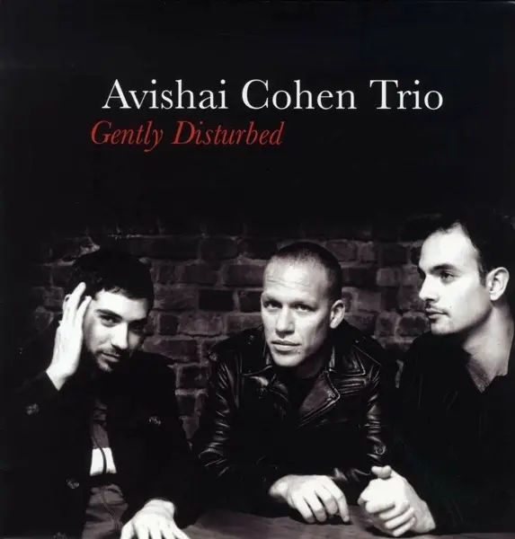 Album artwork for Gently Disturbed by Avishai Trio Cohen