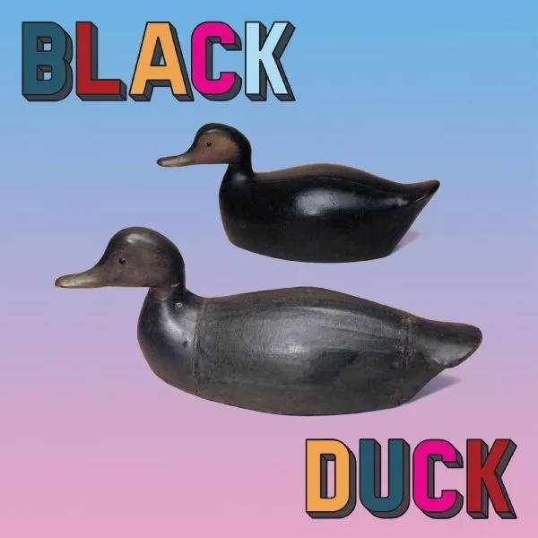 Album artwork for Black Duck by Black Duck