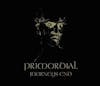 Album artwork for A Journey's End by Primordial
