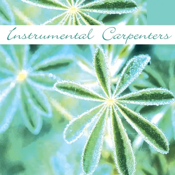 Album artwork for Instrumental Carpenters by Various