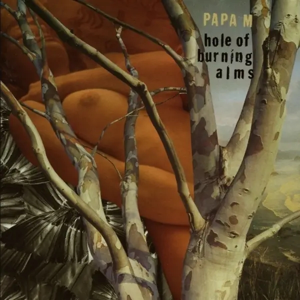 Album artwork for Hole Of Burning Alms by Papa M