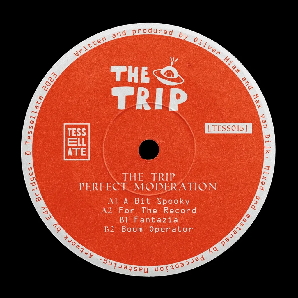 Album artwork for Perfect Moderation by The Trip