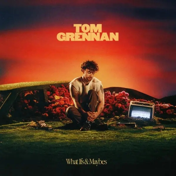 Album artwork for What Ifs & Maybes by Tom Grennan